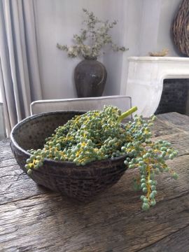 Picture of Dadeltak ter decoratie